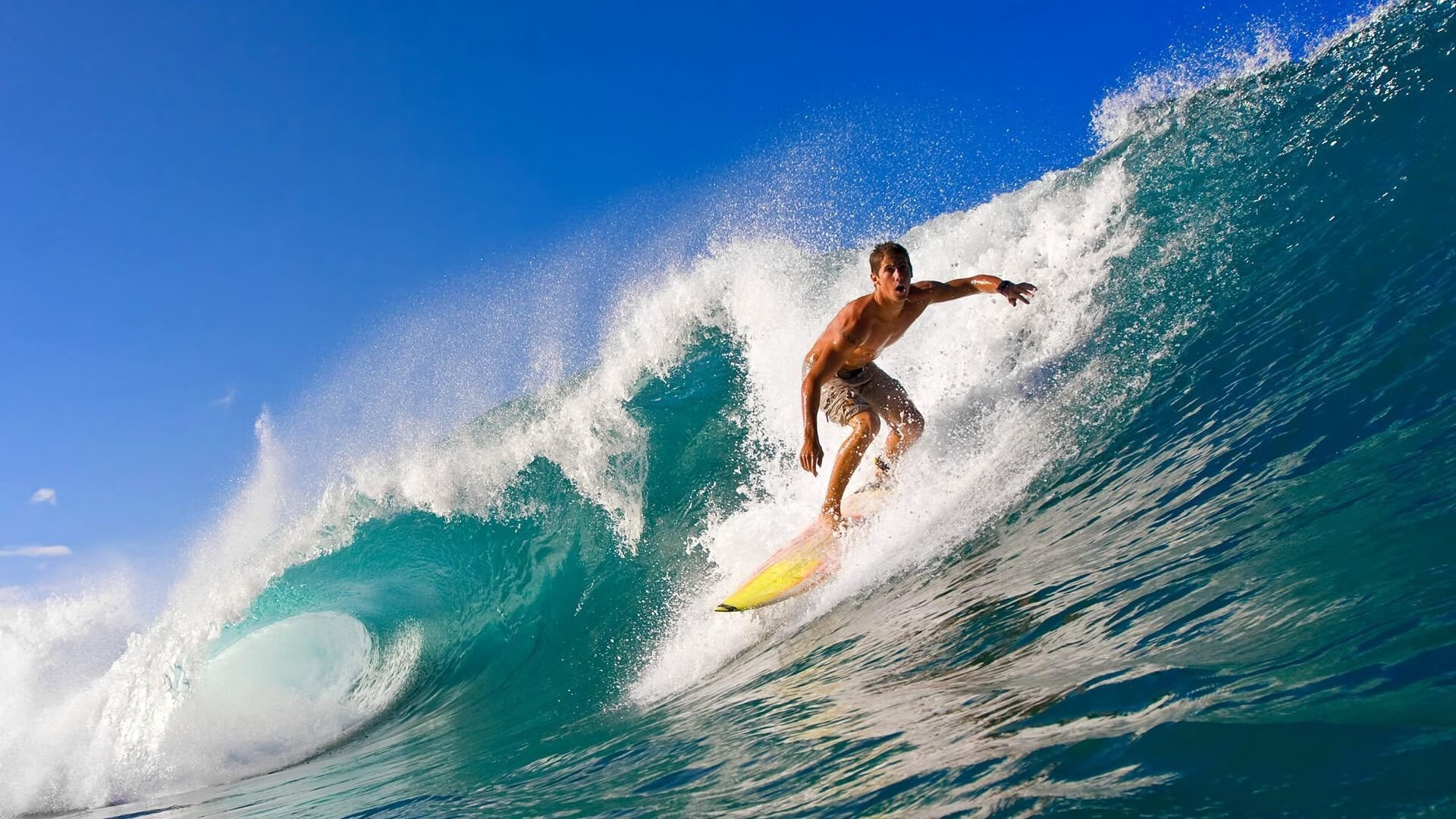 年度焦点之战，沙特带走塞内加尔，改写世界杯格局的一夜