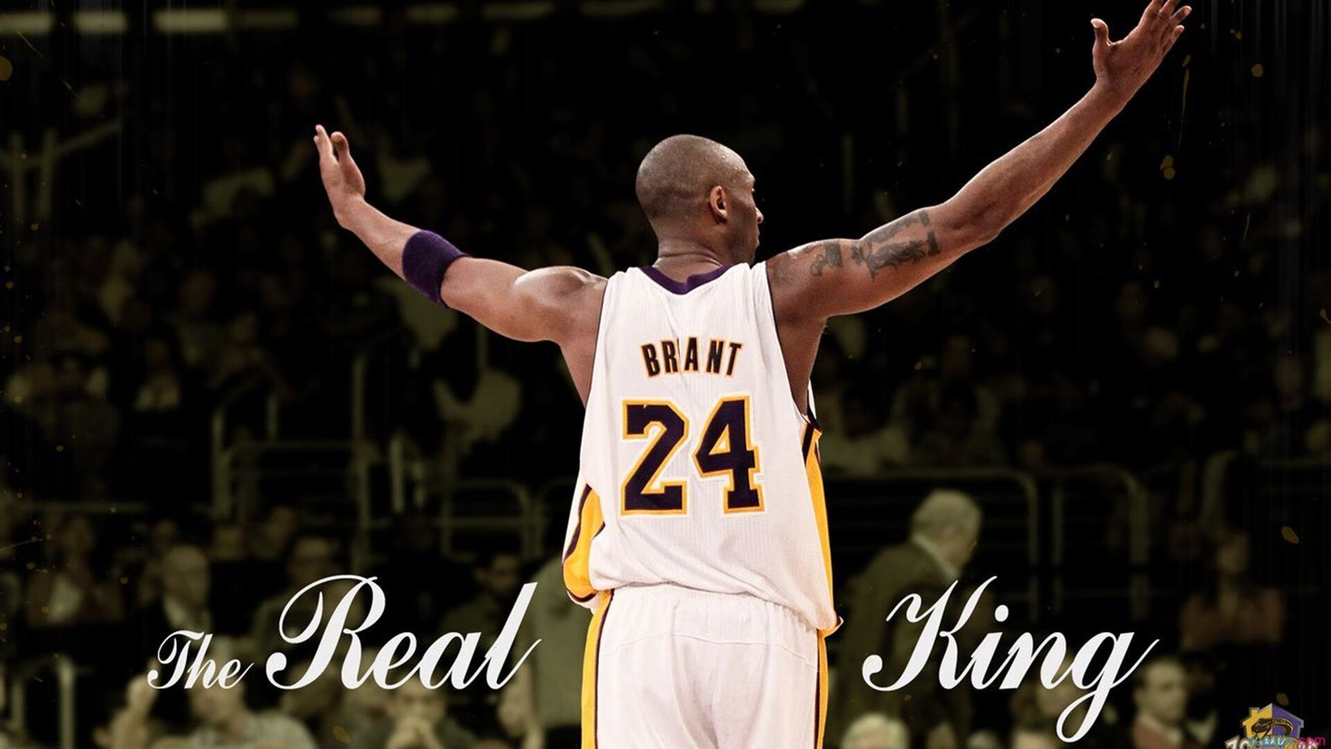 体育赛事直播-败局中的星辰，韩国队横扫之夜，樊振东如何用一记反手撕裂唯一性的宿命